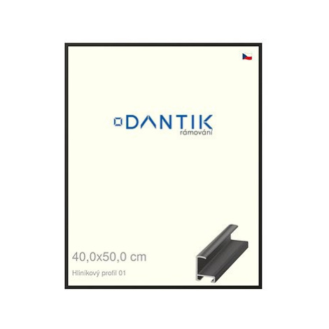 DANTIK rámeček 40 × 50, ALU profil 6001 Černý matný sklo čiré