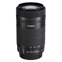 Canon EF-S 55-250mm f/4.0 - 5.6 IS STM