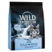 Wild Freedom Kitten „Cold River“ – s lososem - 400 g