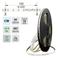 LED pásek McLED 24V studená bílá š=10mm IP20 4,8W/m 60LED/m SMD3528 ML-126.795.60.8