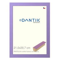 DANTIK rámeček 21 × 29,7, PASTELKA světle fialový rovný sklo čiré