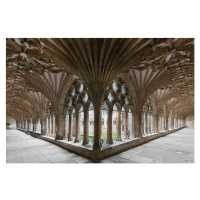 Fotografie Ornate Ceiling And Pillars Around Canterbury, Terence Waeland / Design Pics, 40 × 26.