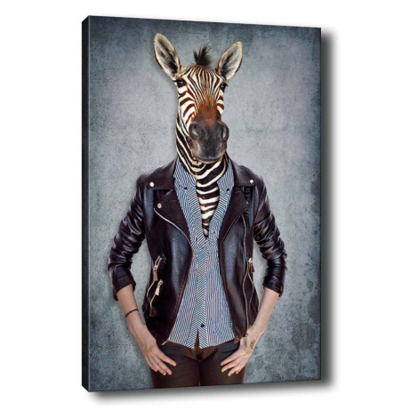 Wallity Obraz na plátně Zebra portrait 50x70 cm
