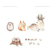 Yokodesign Nálepka na zeď - Lesní království - Jelen, ježek, veverka Velikost: velká - L