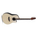 Applause AB24II CS Mid Cutaway Natural Satin