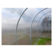 Zahradní skleník LEGI GARLIC 4 x 1,64 m, 6 mm GA179790-6MM