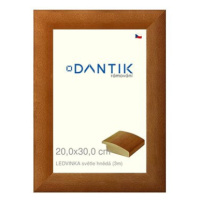 DANTIK rámeček 20 × 30, LEDVINKA světle hnědý sklo čiré