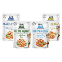 Brit Care Cat Fillets in Jelly Ochutnávkový mix 4 x 85 g