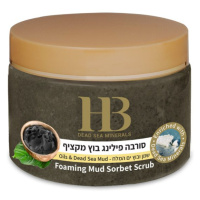 H&B Dead Sea Minerals Pěnový bahenní peeling 450 g