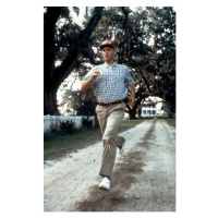 Fotografie FORREST GUMP, 26.7 × 40 cm