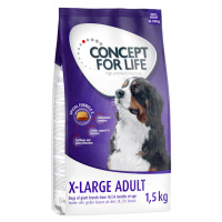 Concept for Life granule, 4 x 1 / 1,5 kg - 20 % sleva - X-Large Adult 4 x 1,5 kg