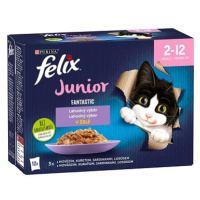 Felix Fantastic Junior s kuřetem v želé Multipack 12 x 85 g