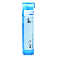 Boiron Sulfur CH9 4 g