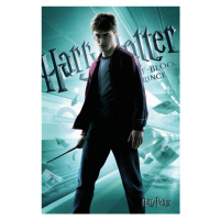 Umělecký tisk Harry Potter and The Half-blood prince, 26.7 × 40 cm