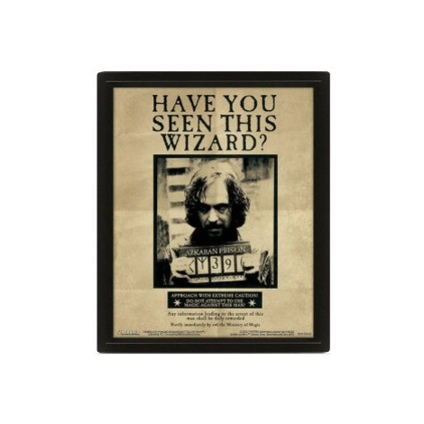 3D obraz Harry Potter Sirius