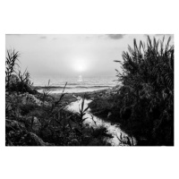 Fotografie Lebanese Coastline, Geraint Rowland Photography, 40 × 26.7 cm