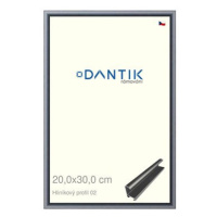 DANTIK rámeček 20 × 30, ALU profil 7002 Platina matný sklo čiré