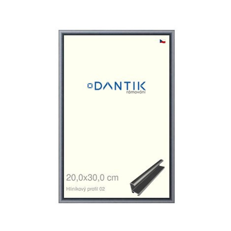 DANTIK rámeček 20 × 30, ALU profil 7002 Platina matný sklo čiré