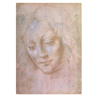 Obrazová reprodukce Leonardo da Vinci - Hlava ženy, Leonardo da (school of) Vinci, 30x40 cm