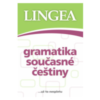 Gramatika současné češtiny