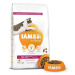 IAMS Cat Senior Chicken 10kg