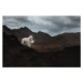 Fotografie Dogs of Iceland, Ve Shandor, 40 × 26.7 cm