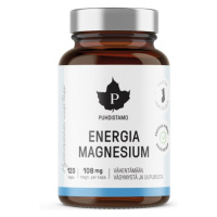 Puhdistamo Energia Magnesium 120 kapslí