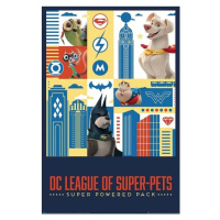 Plakát, Obraz - DC Super Pets - Activate, 61x91.5 cm