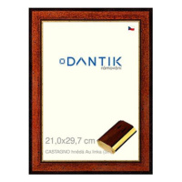 DANTIK rámeček 21 × 29,7, CASTAGNO hnědý Au linka sklo čiré