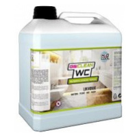 DISICLEAN WC 3 l