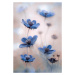 Fotografie Cosmos blue, Mandy Disher, 26.7 × 40 cm