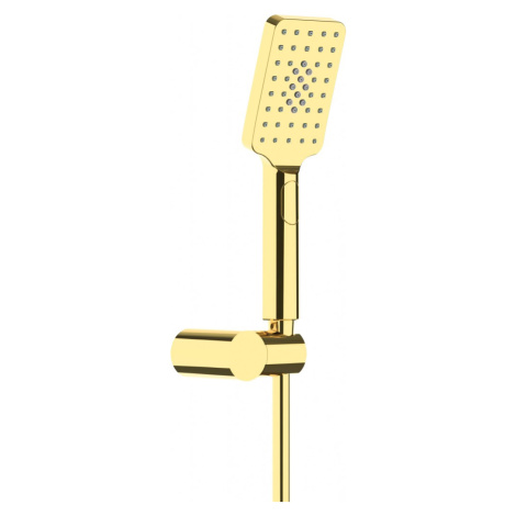 DEANTE Alpinia zlatá sprchová sada, s pevným držákem NGA_Z41K