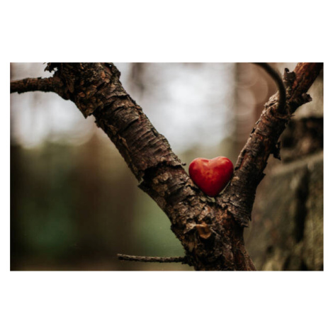 Fotografie Heart figure in the forest - love concept, sanzios85, 40 × 26.7 cm