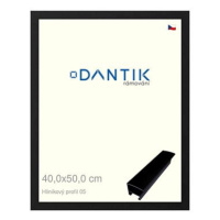 DANTIK rámeček 40 × 50, ALU profil 7005 Černý matný plexi čiré