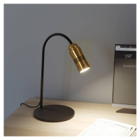Top Light Neo! Table LED stolní lampa dim mosaz/černá