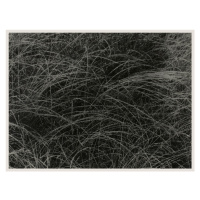 Fotografie Equivalent (Abstract Photography) - Alfred Stieglitz, (40 x 30 cm)