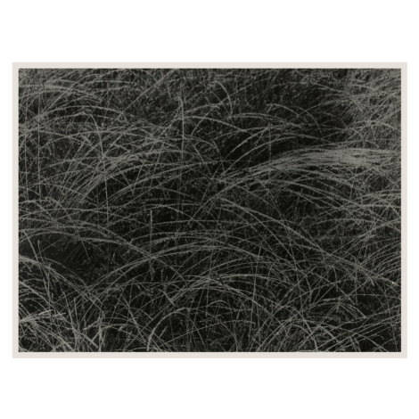 Fotografie Equivalent (Abstract Photography) - Alfred Stieglitz, 40x30 cm