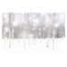 Ilustrace White snowflakes falling over birch tree, Roberto Moiola / Sysaworld, 40 × 26.7 cm