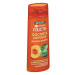 Garnier Fructis Goodbye Damage šampon 250 ml