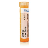 Arnica Montana 15CH gra.4g