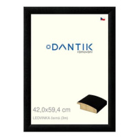 DANTIK rámeček 42 × 59,4, LEDVINKA černý plexi čiré