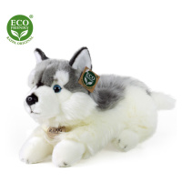 RAPPA - Plyšový pes husky ležící 30 cm ECO-FRIENDLY