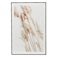 Obraz květu trávy na MDF desce 60x40cm