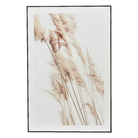 Obraz květu trávy na MDF desce 60x40cm Kaemingk