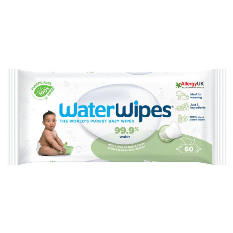 WaterWipes Vlhčené ubrousky Soapberry 60 ks