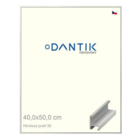 DANTIK rámeček 40 × 50, ALU profil 6030 Dýha barevný šedý světlý plexi čiré