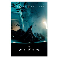 Plakát, Obraz - The Flash - Batman & Batmobile, 61x91.5 cm