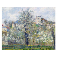 Obrazová reprodukce The Vegetable Garden with Trees in Blossom, Spring, Pontoise, Camille Pissar