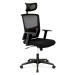 AUTRONIC Kancelářská židle KA-B1013 BK