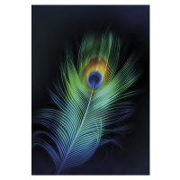 Dekoria Obraz na plátně Peacock Eye, 70 x 100 cm